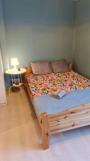 Ritupes12 4 can stay free parking 10 min to city center - Riga - 8