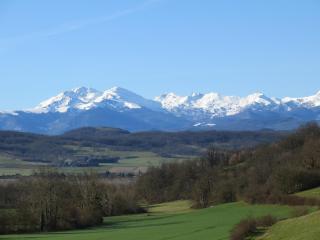 Domaine Le Cazal - Manses - 9