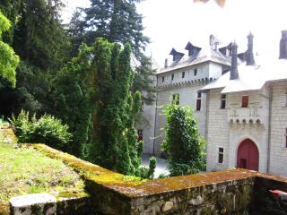 Castle with pool in Serrières-en-Chautagne - Serrières-en-Chautagne - 1
