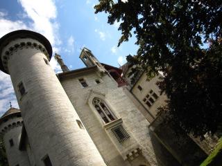 Castle with pool in Serrières-en-Chautagne - Serrières-en-Chautagne - 2