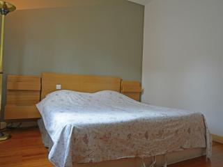 Pretty villa with pool and jacuzzi in Carcassonne - Carcassonne - 9