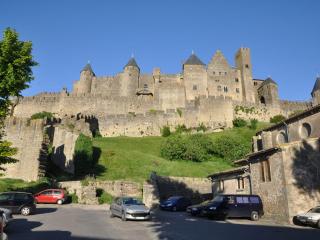 Pretty villa with pool and jacuzzi in Carcassonne - Carcassonne - 1