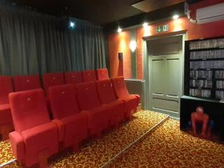 Villa with home cinema, sauna - Treuen - 4