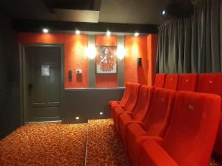 Villa with home cinema, sauna - Treuen - 5