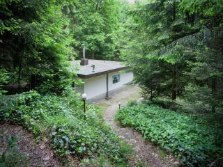 Chalet in Lanklaar with garden - Dilsen-Stokkem - 8