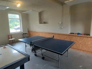 Heritage villa with home cinema, sauna - Treuen - 6
