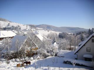Flat with balcony in Baden-Württemberg - Bernau im Schwarzwald - 6