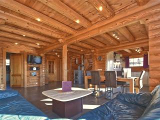 Wooden holiday home with sauna - Teunz - 8