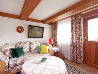 Apartment in the Black Forest with garden - Urberg - 6