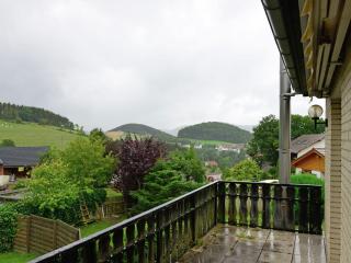 Flat at Diemelsee near WillingenWinterberg - Diemelsee - 3