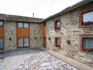 Quiet location, terrace, ideal for walks cycling - Waimes - 3