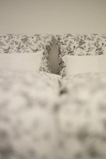 Casa de la Paz, Millstatt - geräumige neu ausgestattete FeWo mit Seeblick und Bergpanorama - 2