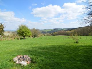 Cottage La Fausse Epine near forest - Lierneux - 4
