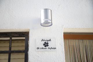 El Olivar Agloipe Ahigal -TR-CC-00517- - Ahigal - 5