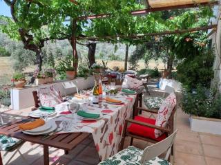 FINCA LOS MELEROS Andalucian farmhouse set in its own land with beautiful terraces, garden & pool. - 7