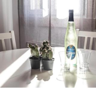 SALAMON GUEST HOUSE - 0