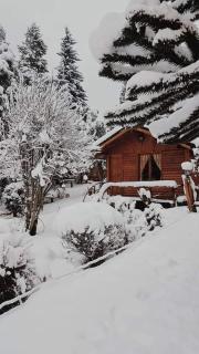 CABAÑAS MANOLO - Bariloche - 9