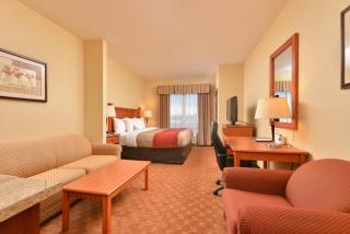 Comfort Inn & Suites Las Vegas - Nellis - Las Vegas - 9