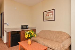 Comfort Inn & Suites Las Vegas - Nellis - Las Vegas - 7