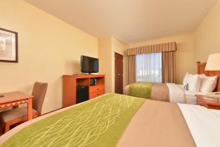 Comfort Inn & Suites Las Vegas - Nellis - Las Vegas - 5
