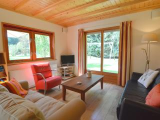 Wooden villa on the Veluwe - Wissel - 1