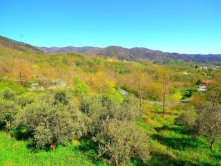 Holiday Home in Sesta Godano near Lake - Sesta Godano - 2