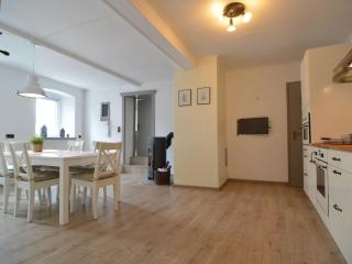 Very comfortable house with bathrooms and a garden - Mürlenbach - 1