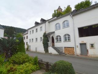Very comfortable house with bathrooms and a garden - Mürlenbach - 0
