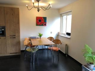 Holiday Home in Julianadorp with Sauna & Pool - Julianadorp - 6