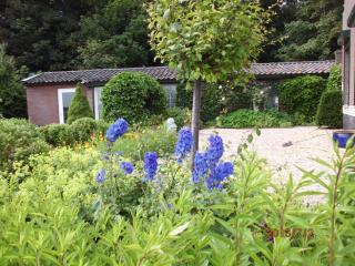 Cottage in Egmond near Dunes and Beach - Rinnegom - 5