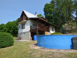 House with the pool and fenced garden - Hnanice - 7
