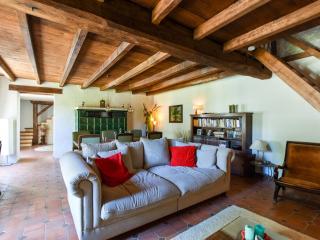 18th-century farmhouse near Poitiers and Chinon - Frontenay-sur-Dive - 8