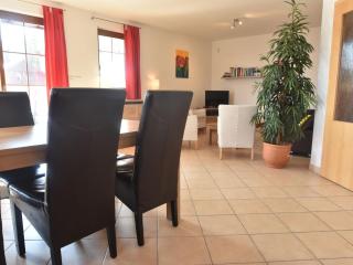 beautiful villa with ski pistes - Kramolín - 4