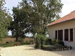 Charming holiday home with private pool - Monfort - 3
