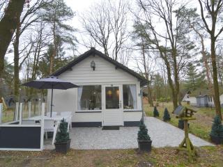 Holiday Home in Stramproy near Nature Reserves - Stramproy - 5