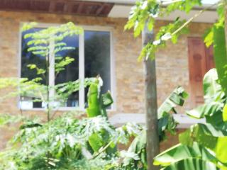 CHAMBRE SUPÉRIEURE VUE MER Accès direct terrasse chez Saloua - 7