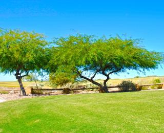 Gold Canyon Golf Resort - 8