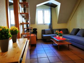 IMEDA apartamentos ARTTYCO con parking - Sierra Nevada - 5