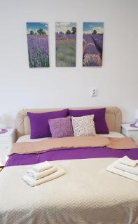 Rózsa apartman - 7