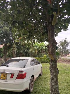 Davis Tours Home Stay - Kabale - 1