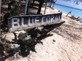 Bluecoral Bungalows - Gili Meno - 8