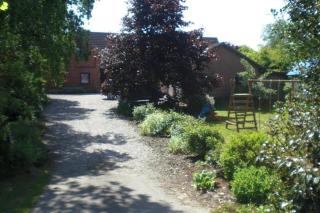 Ferienhof Jepsen - Westerholz - 9