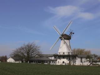 Ferienhof Jepsen - Westerholz - 5