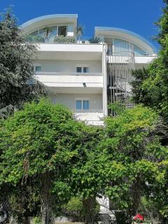 Family Suite Appartments Orchidea Blu - Rimini - 9
