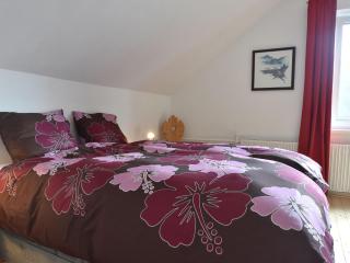 Holiday home with private pool - Levínská Olešnice - 4