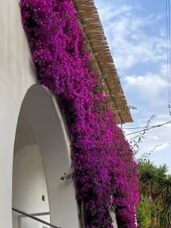 Roberhouse Tragara 37 - Capri - 5