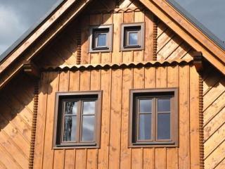 Spacious Holiday Home in Dlouhý with Sauna - Dlouhý - 4