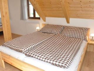 Spacious Holiday Home in Dlouhý with Sauna - Dlouhý - 6
