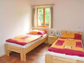 Spacious Holiday Home in Dlouhý with Sauna - Dlouhý - 7