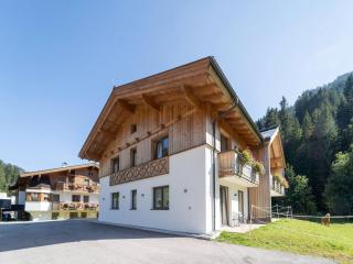 Spacious chalet with sauna - Saalbach-Hinterglemm - 1